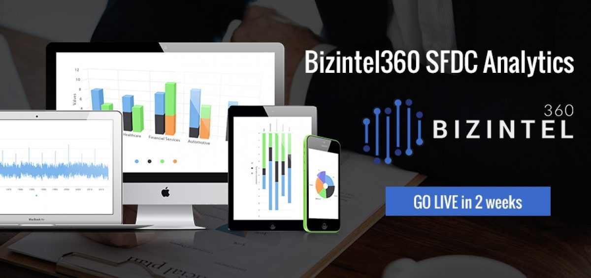 Salesforce analytics with BizIntel360