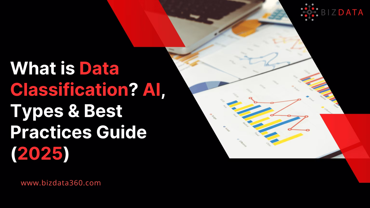What-is-Data-Classification-AI-Types-Best-Practices-Guide-2025